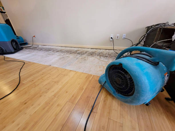 Professional Structural Drying technician working in Galena Park, TX
